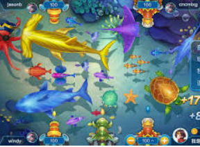 沙巴官网入口网站2024最新版